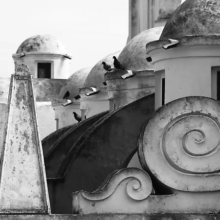 Dependance In Con Giardino Capri