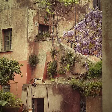 Dependance In Con Giardino Appartamento