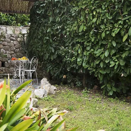 Appartamento Dependance In Con Giardino Capri