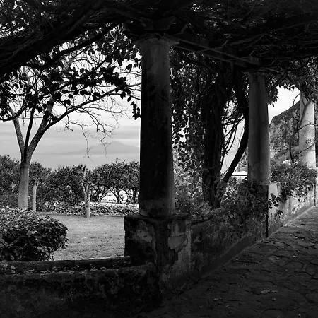 Appartamento Dependance In Con Giardino